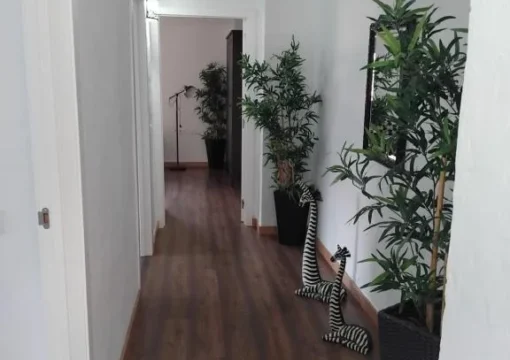 Suite mit 3 Schlafzimmern