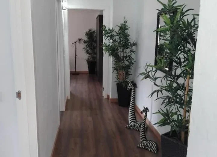 Suite mit 3 Schlafzimmern