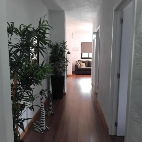 Suite mit 3 Schlafzimmern