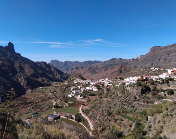 WhatsApp Image 2026-02-19 at 12.54.14 (1)