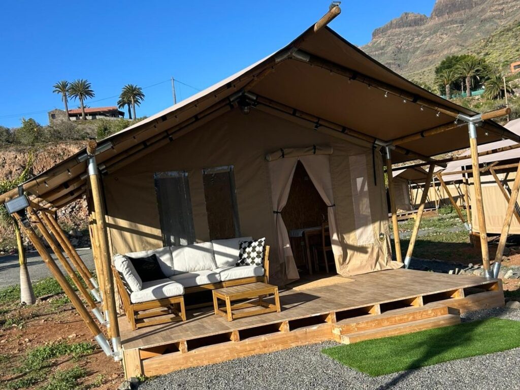 WhatsApp Image 2026-02-19 at 12.54.15