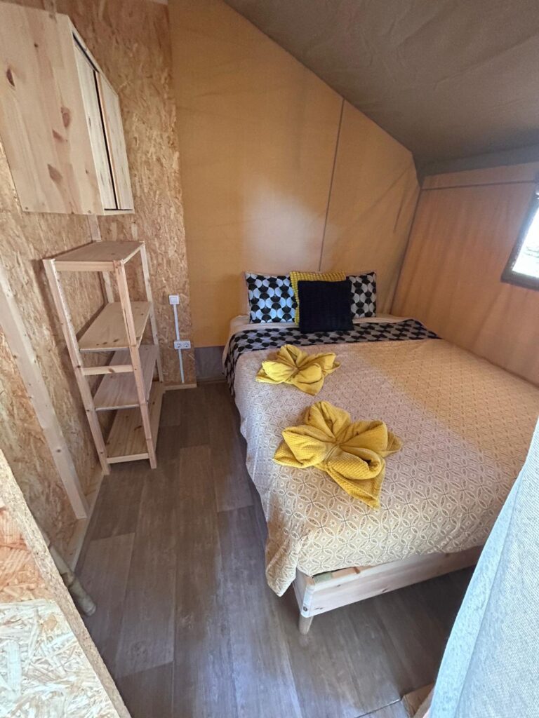 WhatsApp Image 2026-02-19 at 12.54.15 (2)