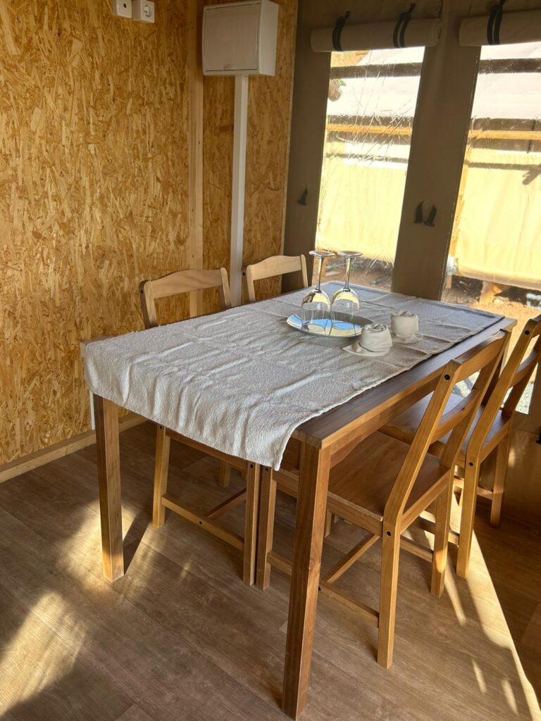 WhatsApp Image 2026-02-19 at 12.54.15 (3)