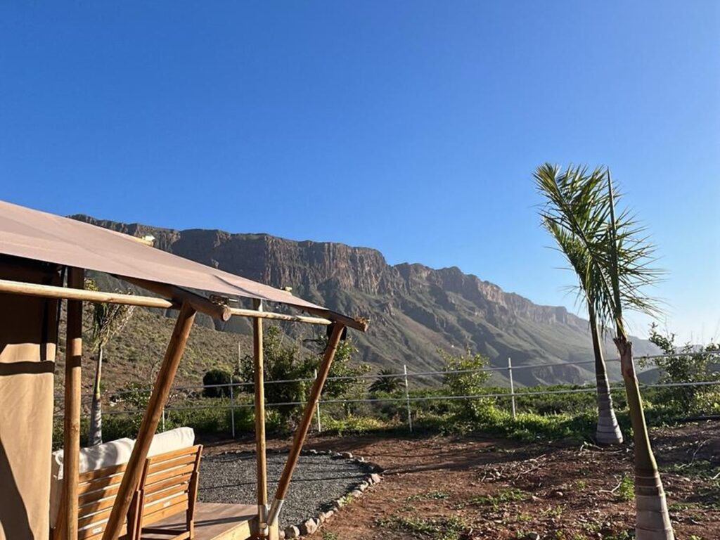 WhatsApp Image 2026-02-19 at 12.54.15 (5)