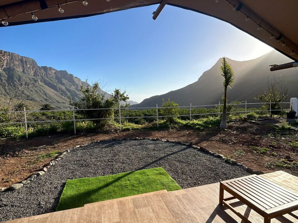 WhatsApp Image 2026-02-19 at 12.54.15 (6)